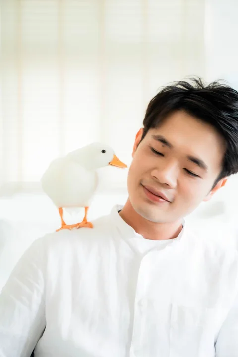 人像選輯，第 12 張